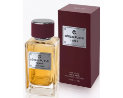 Туалетная Вода Мужская Parfum CodeTerre 100 мл 