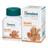 Сунтхи Гималая Sunthi Himalaya 60таб